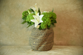 Woven Vase Basket and floor Jar